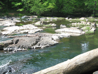 "Eno River." The Shakori Indians lived along the river. Image courtesy of Flickr user Todd Martin, uploaded May 6, 2006. 