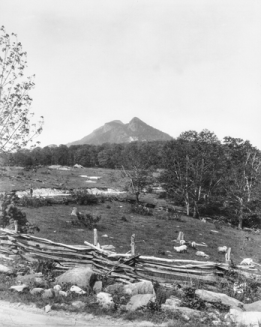 Grandfather Mountain as seen from the Yonahlossee Road between Linville and Blowing Rock, 1919. North Carolina Collection, University of North Carolina at Chapel Hill Library.