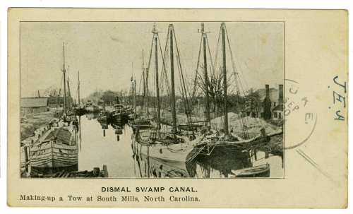"Dismal Swamp Canal: Making-up a tow at South Mills, North Carolina." Postcard ca. 1906, P. W. Melick Co. From the Durwood Barbour Collection of North Carolina Postcards, NC Collection Photographic Archives, Wilson Library, UNC-Chapel Hill.