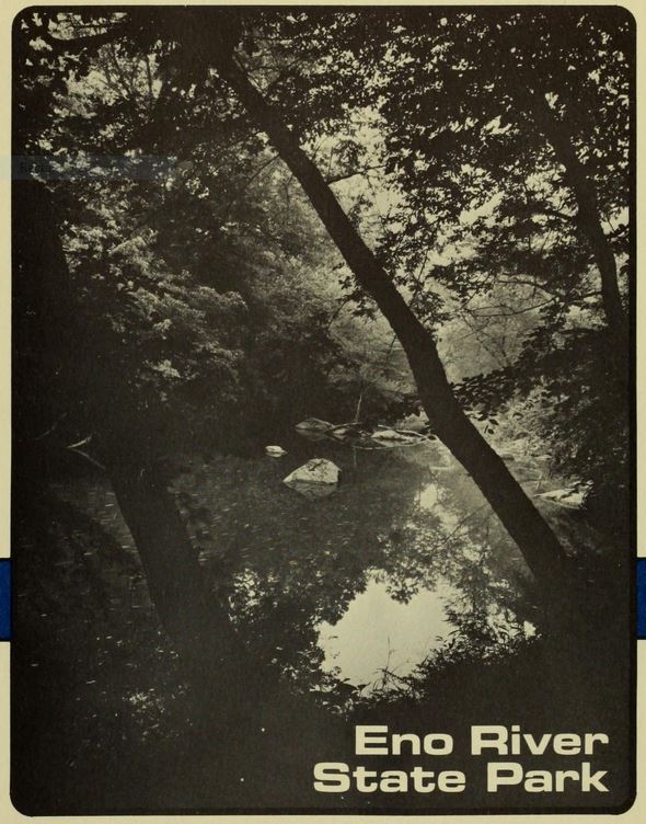Photograph, Eno River scene. It is a dark print, with trees and bushes in the foreground. Sun is shining through the canopy in the background.