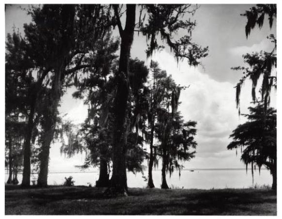 Colorized print of Lake Waccamaw, ca. 1940-1960. Item H.1961.94.179 from the collection of the North Carolina Museum of History.