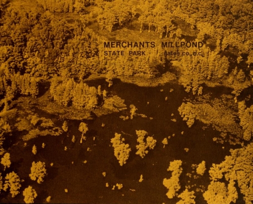 Aerial photograph of Merchants Millpond. Sepia print. There is a lake in the middle of a large forest. Merchants Millpond is printed over the front of the photo.