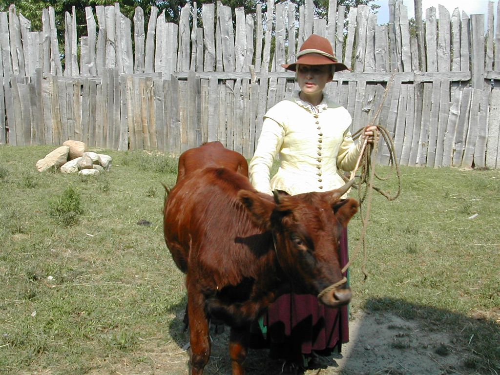 Colonial woman and cow