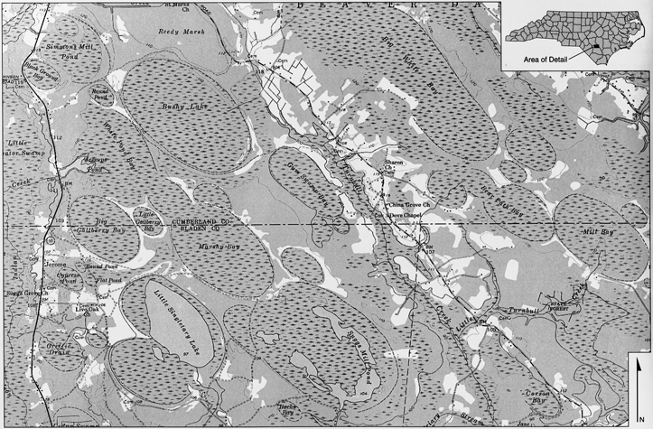 Geological survey map showing Carolina bays in the coastal plain.