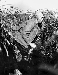 A duck hunter crouches inside a blind at Currituck, 1944. Courtesy of North Carolina Office of Archives and History, Raleigh.