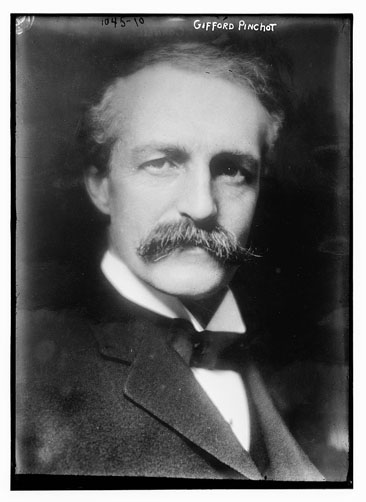 Portrait of Gifford Pinchot, undated, by Bain News Service, publisher. From the Bain Collections, Library of Congress Prints & Photographs Online Catalog. 