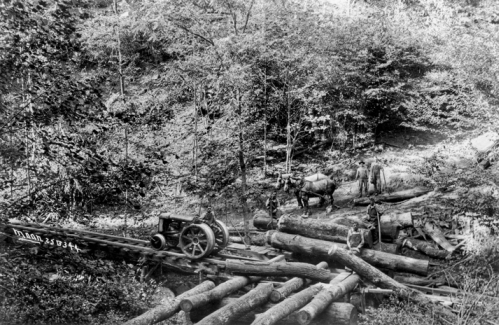 Logging operation in western North Carolina (date unknown). Horses were used to move logs to a staging area where they were picked up by a tractor on rails. North Carolina Collection, University of North Carolina at Chapel Hill Library.