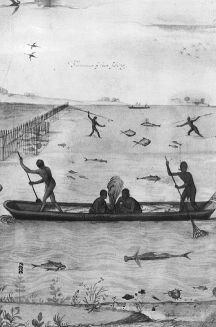 Copy of John White drawing, "Indians Fishing", Large Canoe w/ Fire in center of it; 4 Indians are fishing from the canoe; various types of fish are shown in the water; in wooden wooden frame w/ glazing." Roanoke Island; 1907. Image courtesy of the North Carolina Museum of History, access #: 1914.235.8 .