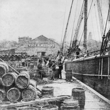 Barrels filled with pine resin being loaded on a German ship at the port of Wilmington in the early 1870s. North Carolina Collection, University of North Carolina at Chapel Hill Library.