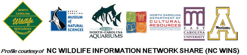 NC Wildlife Information Network