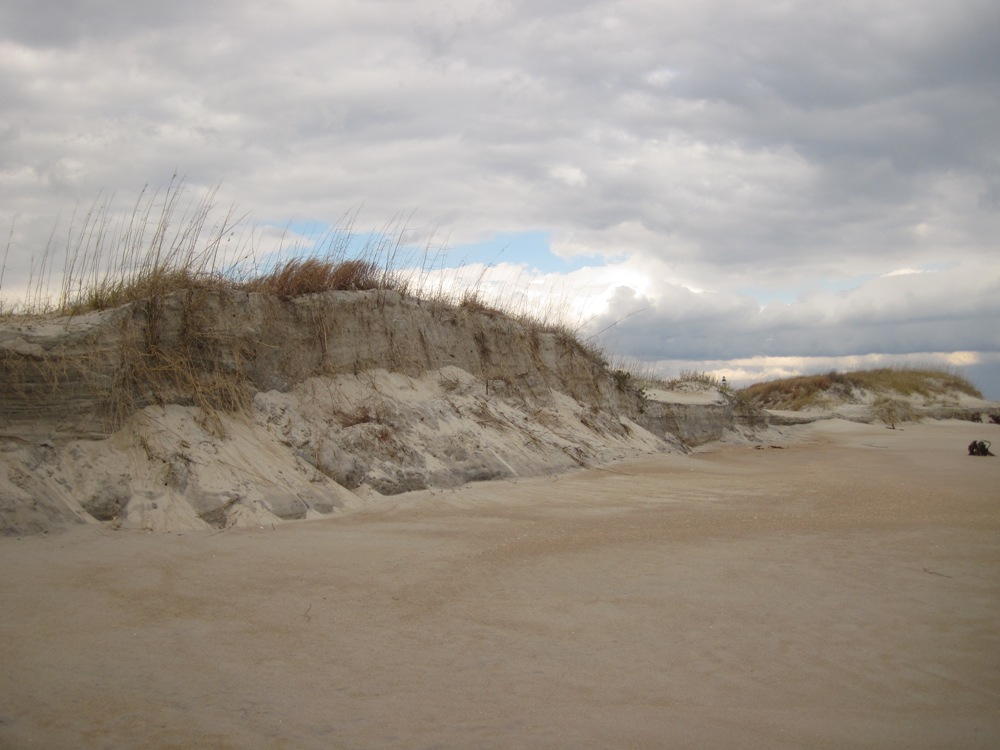 Sand Dunes at the Cape Lookout National Seashore. Image courtesy of the National Park Service.