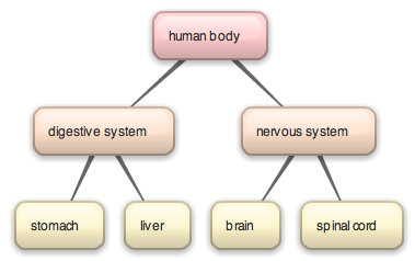 Human body concept map | NCpedia