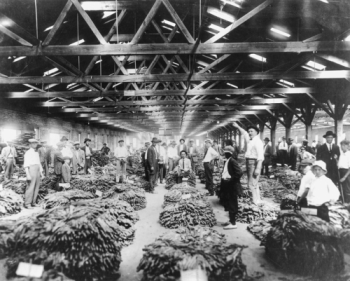 Tobacco warehouse in Wilson, 1926. North Carolina Collection, University of North Carolina at Chapel Hill Library.