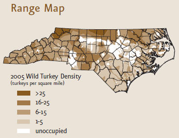 Wild turkey range map